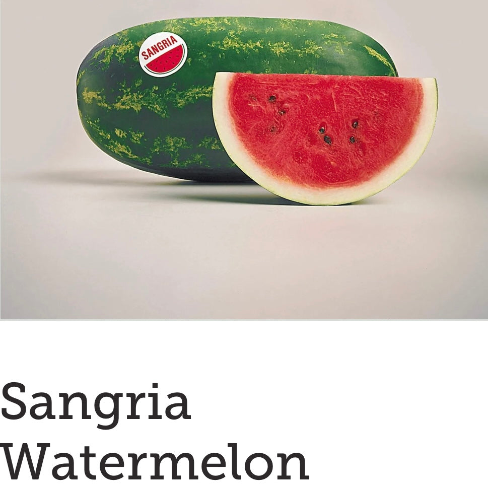 Sangria Watermelon (Seeded)